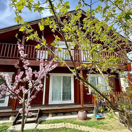 דירות Seto Log House #Ab1 מראה חיצוני תמונה